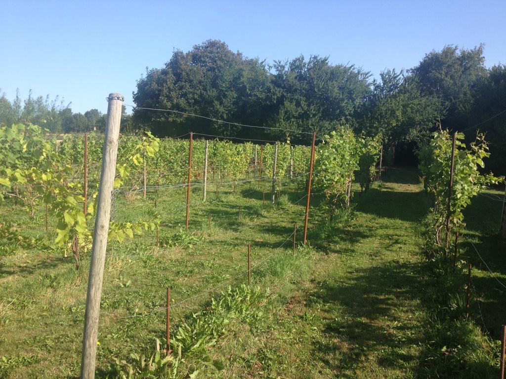 Kildegaarden Bed&Breakfast Frorup Kamer foto